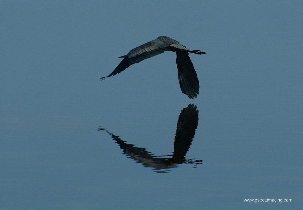 (09) Dscf2868.jpg   (1000x693)   384 Kb                                    Click to display next picture