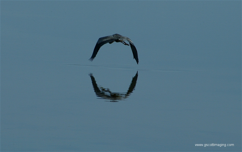 (10) Dscf2869.jpg   (1000x630)   343 Kb                                    Click to display next picture