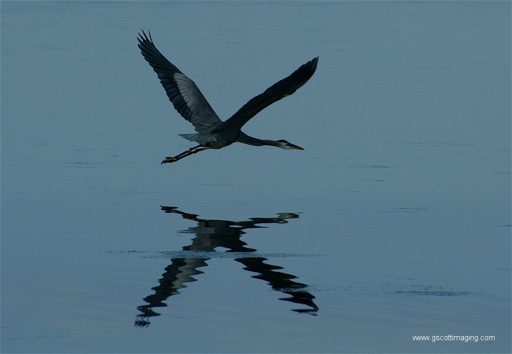 (11) Dscf2875.jpg   (1000x692)   397 Kb                                    Click to display next picture