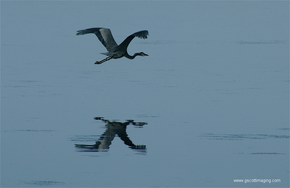 (12) Dscf2876.jpg   (1000x648)   342 Kb                                    Click to display next picture