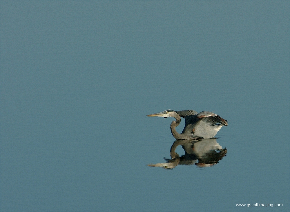 (13) Dscf2866.jpg   (1000x733)   391 Kb                                    Click to display next picture