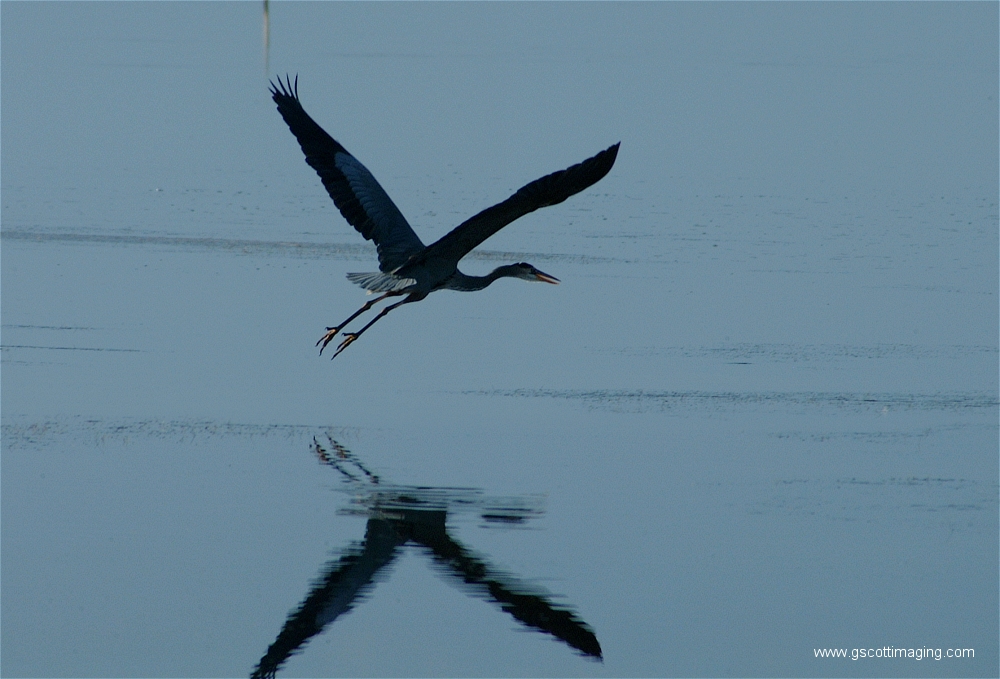 (16) Dscf2894.jpg   (1000x679)   371 Kb                                    Click to display next picture