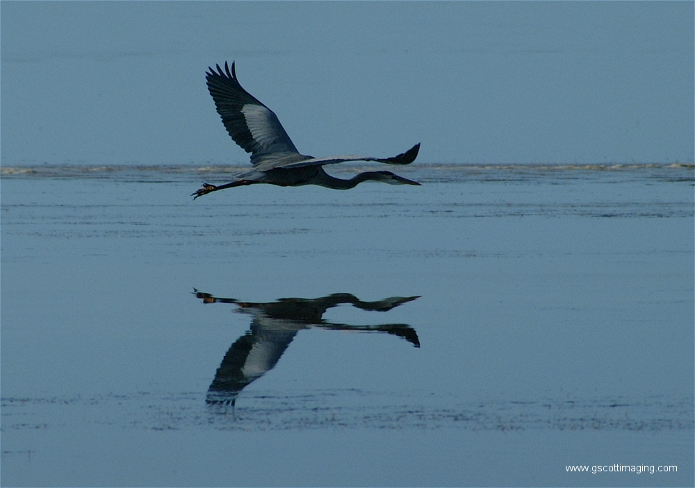 (17) Dscf2895.jpg   (1000x703)   370 Kb                                    Click to display next picture