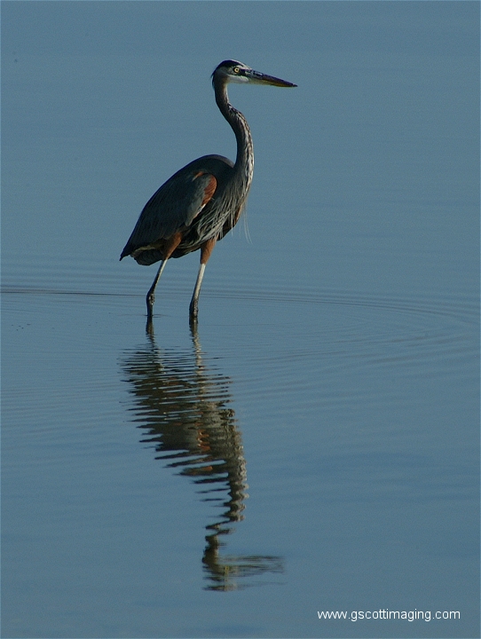 (18) Dscf2899.jpg   (542x720)   221 Kb                                    Click to display next picture