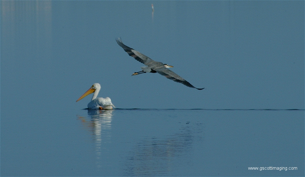 (21) Dscf2903.jpg   (1000x579)   314 Kb                                    Click to display next picture