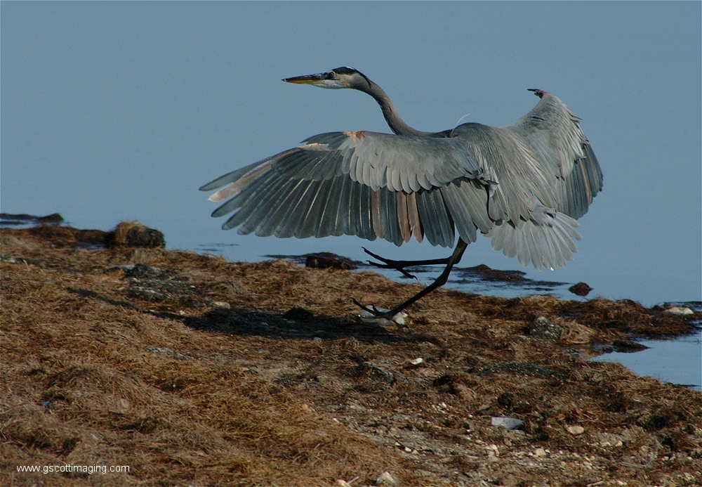 (24) Dscf2902.jpg   (1000x693)   540 Kb                                    Click to display next picture