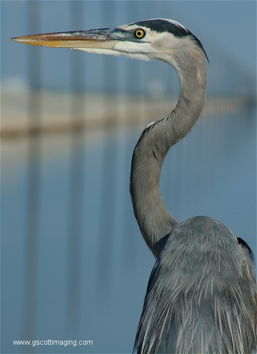 (52) Dscf2927.jpg   (523x720)   237 Kb                                    Click to display next picture