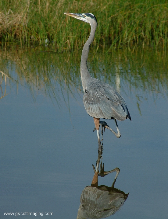 (55) Dscf2953.jpg   (551x720)   275 Kb                                    Click to display next picture