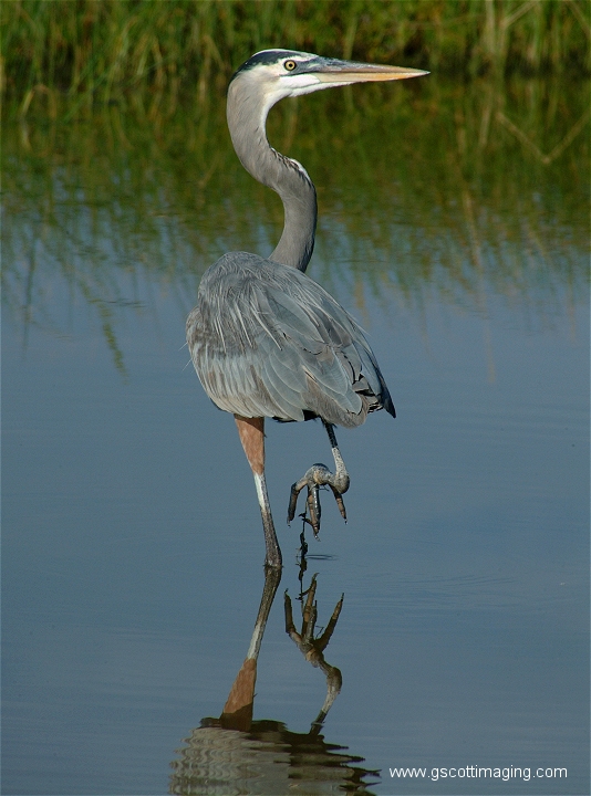 (59) Dscf2957.jpg   (534x720)   244 Kb                                    Click to display next picture