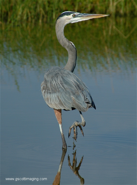 (60) Dscf2958.jpg   (533x720)   241 Kb                                    Click to display next picture