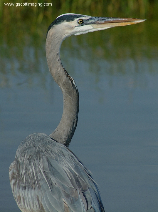 (63) Dscf2961.jpg   (538x720)   239 Kb                                    Click to display next picture