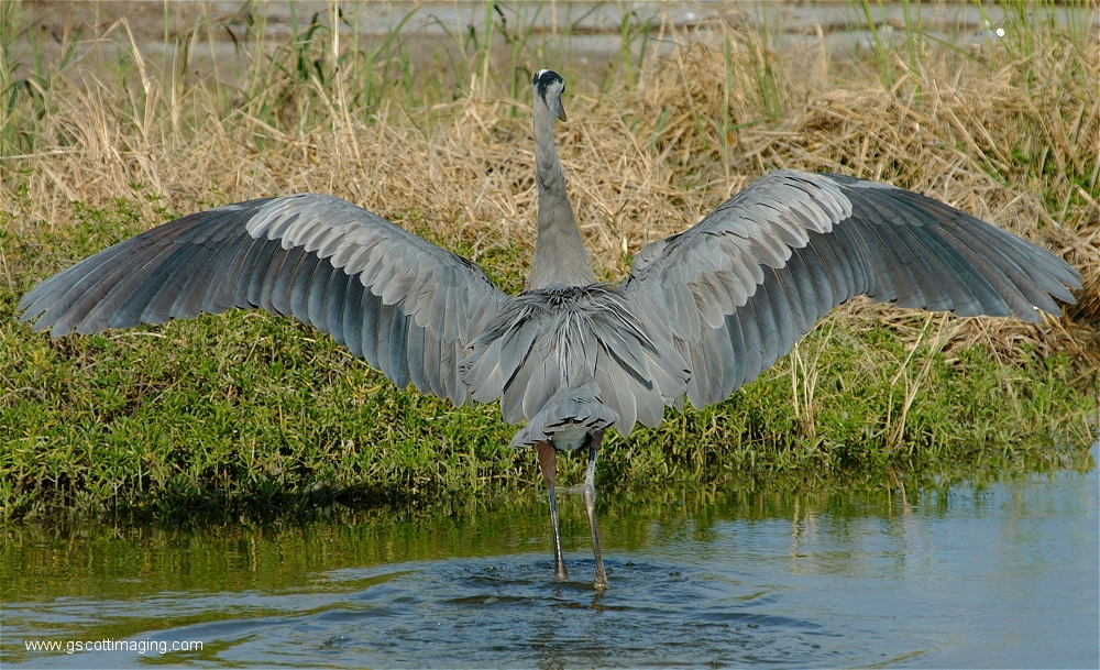 (72) Dscf2970.jpg   (1000x609)   626 Kb                                    Click to display next picture