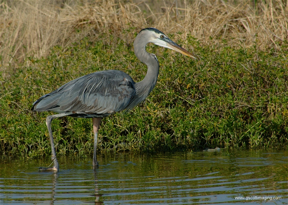 (75) Dscf2973.jpg   (1000x711)   692 Kb                                    Click to display next picture