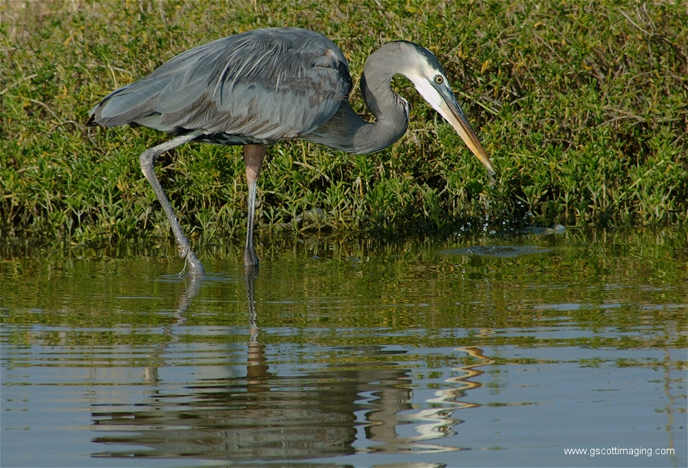 (78) Dscf2976.jpg   (1000x681)   659 Kb                                    Click to display next picture