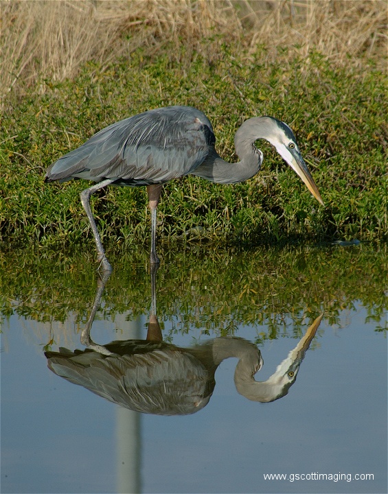 (82) Dscf2980.jpg   (565x720)   224 Kb                                    Click to display next picture