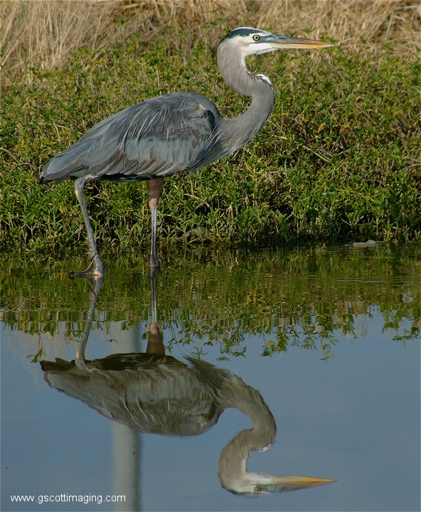 (84) Dscf2982.jpg   (592x720)   241 Kb                                    Click to display next picture