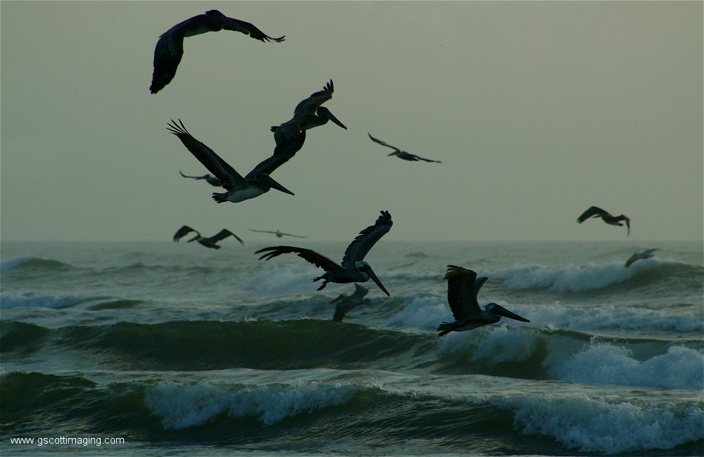 (01) Dscf2745.jpg   (1000x650)   194 Kb                                    Click to display next picture