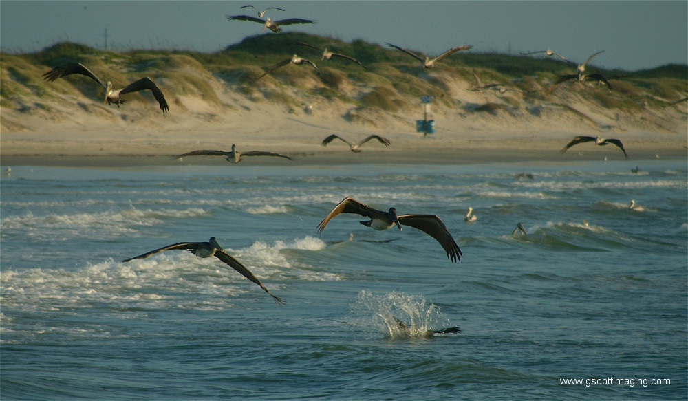 (03) Dscf2755.jpg   (1000x583)   217 Kb                                    Click to display next picture