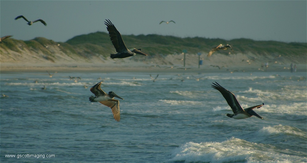 (04) Dscf2756.jpg   (1000x532)   168 Kb                                    Click to display next picture