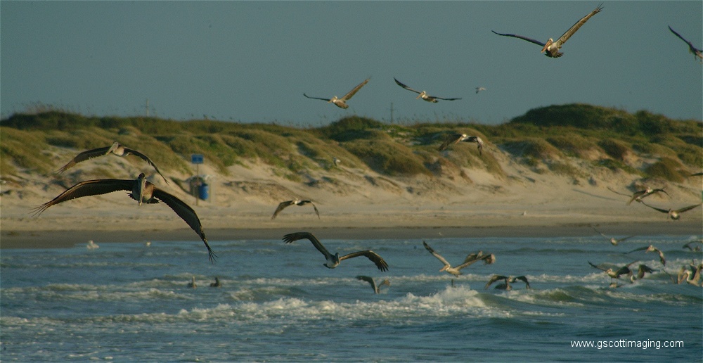 (05) Dscf2757.jpg   (1000x516)   177 Kb                                    Click to display next picture