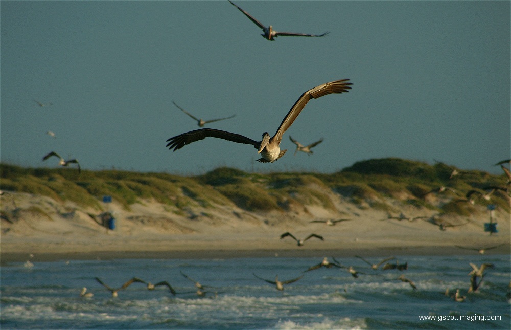 (06) Dscf2758.jpg   (1000x645)   190 Kb                                    Click to display next picture