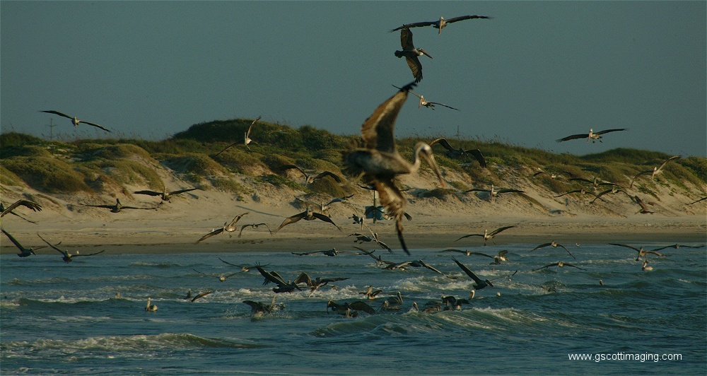 (07) Dscf2759.jpg   (1000x532)   221 Kb                                    Click to display next picture