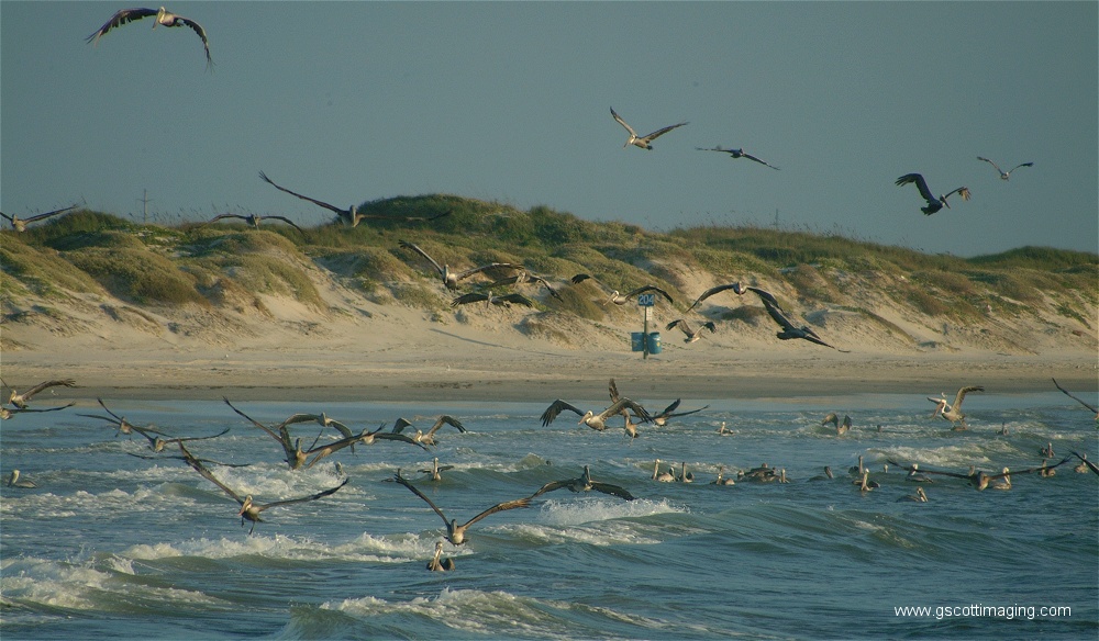 (08) Dscf2762.jpg   (1000x584)   233 Kb                                    Click to display next picture