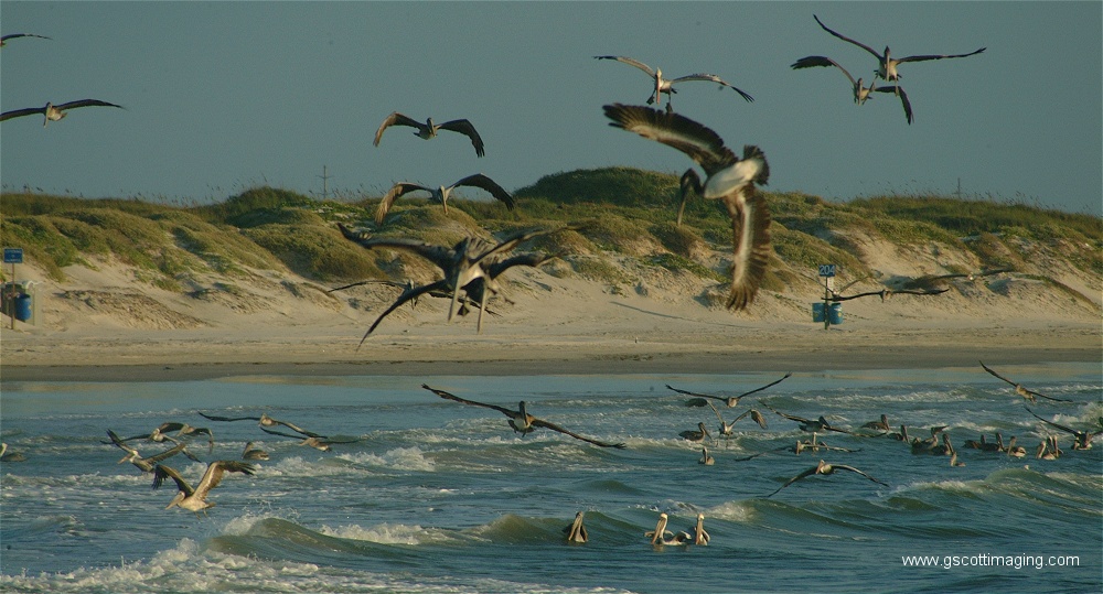 (09) Dscf2763.jpg   (1000x539)   231 Kb                                    Click to display next picture