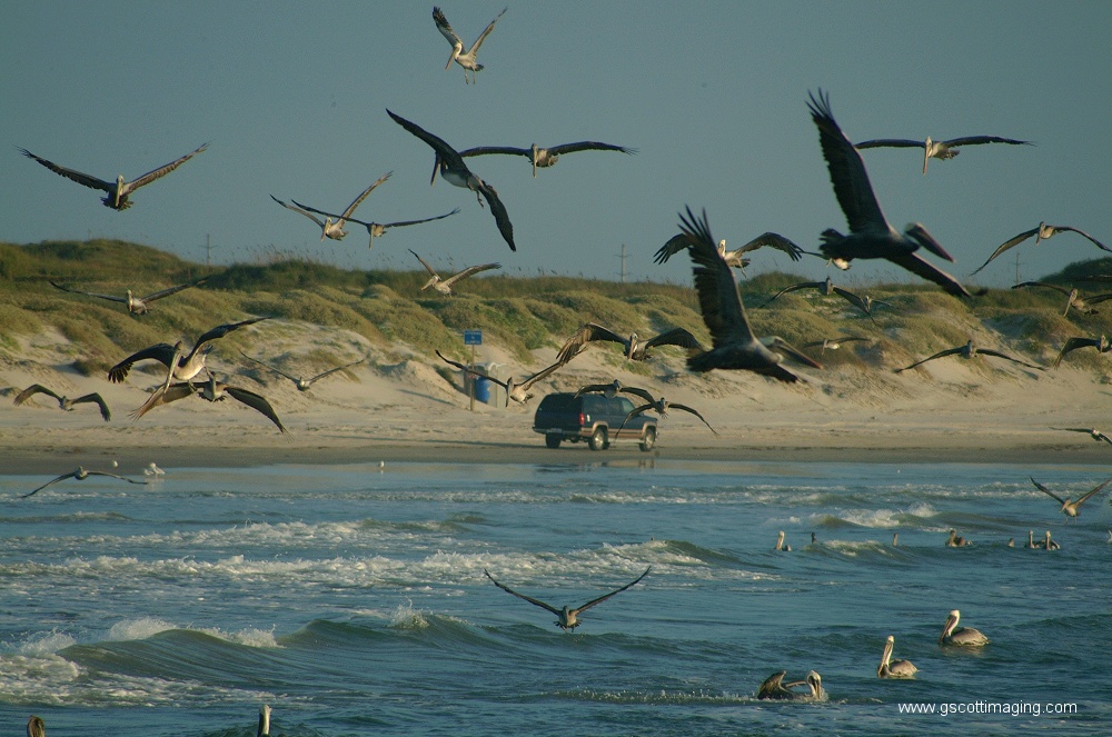 (10) Dscf2764.jpg   (1000x663)   261 Kb                                    Click to display next picture