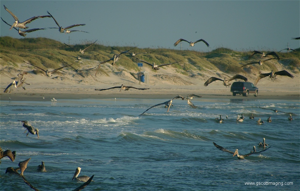 (11) Dscf2765.jpg   (1000x636)   263 Kb                                    Click to display next picture