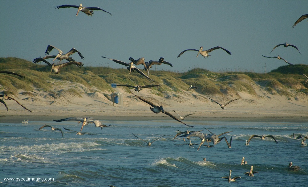 (13) Dscf2768.jpg   (1000x606)   240 Kb                                    Click to display next picture