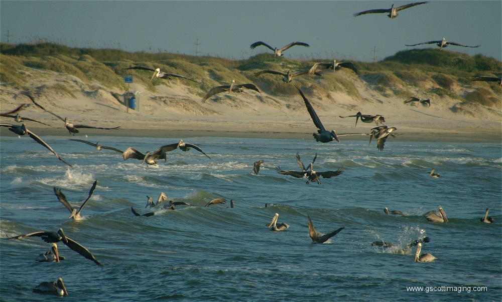 (15) Dscf2771.jpg   (1000x603)   261 Kb                                    Click to display next picture