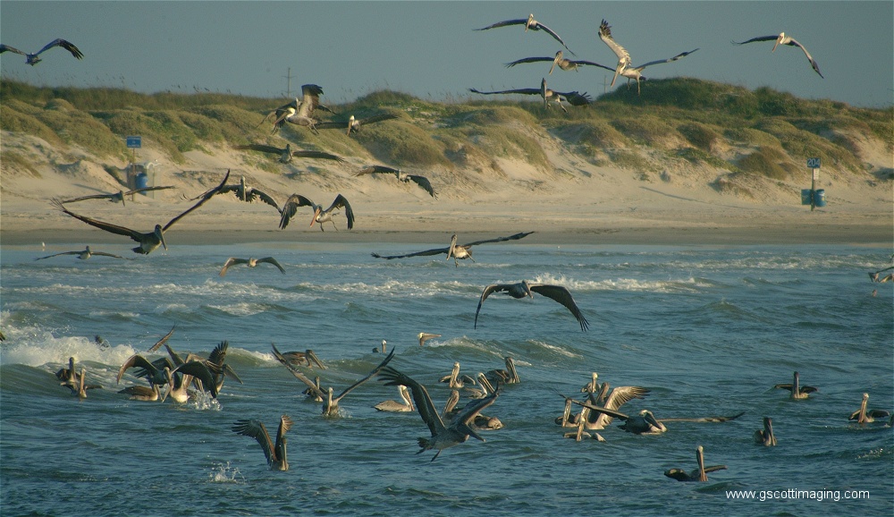 (17) Dscf2773.jpg   (1000x578)   255 Kb                                    Click to display next picture