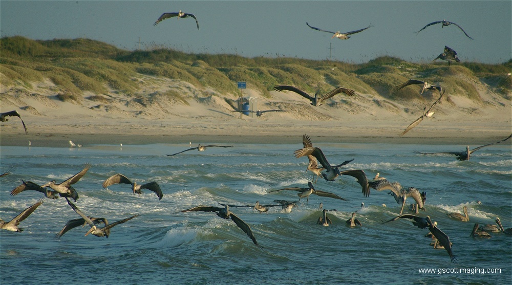 (18) Dscf2775.jpg   (1000x557)   248 Kb                                    Click to display next picture