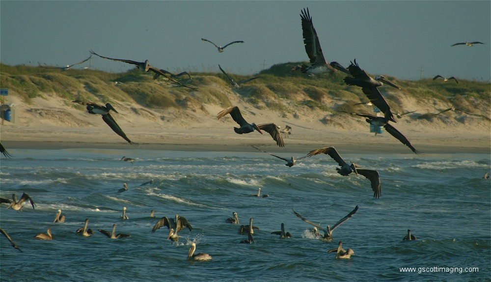 (19) Dscf2776.jpg   (1000x574)   226 Kb                                    Click to display next picture