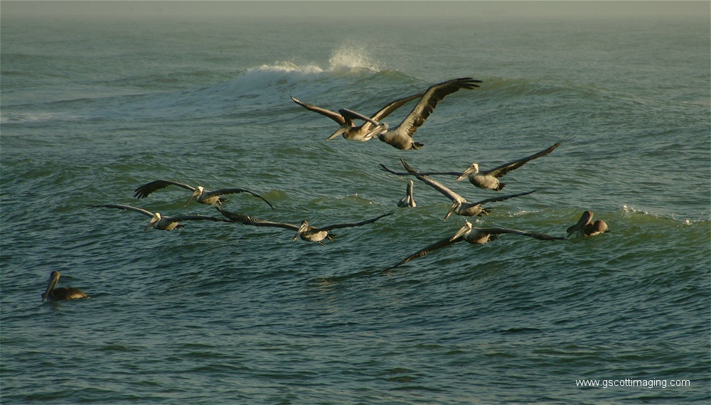 (21) Dscf2789.jpg   (1000x570)   244 Kb                                    Click to display next picture