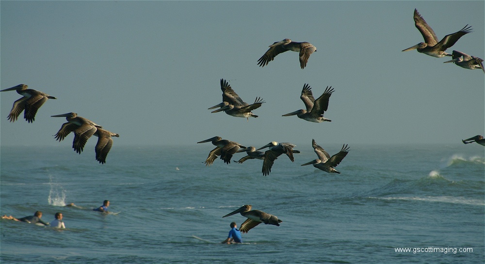 (23) Dscf2803.jpg   (1000x546)   158 Kb                                    Click to display next picture