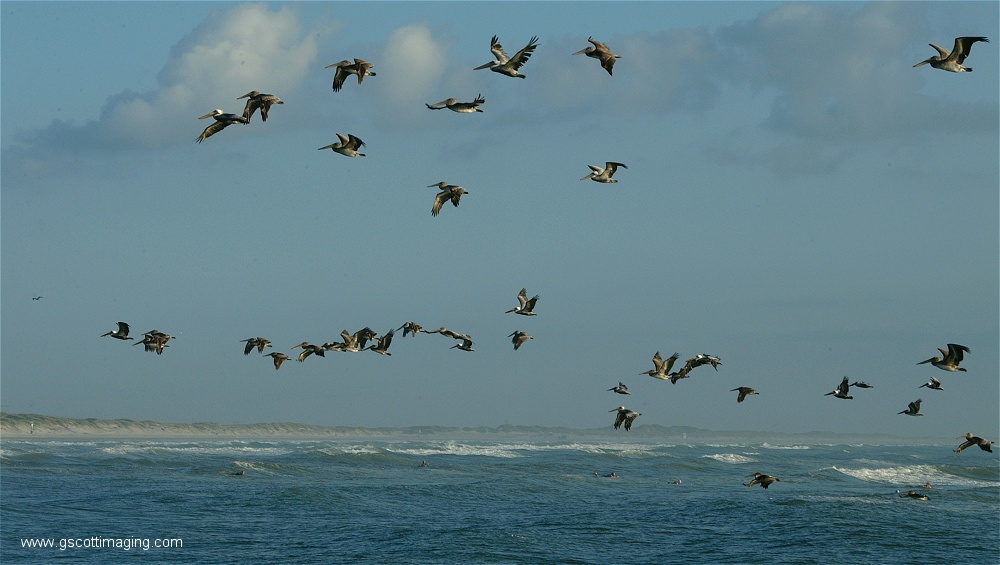 (24) Dscf2804.jpg   (1000x565)   171 Kb                                    Click to display next picture