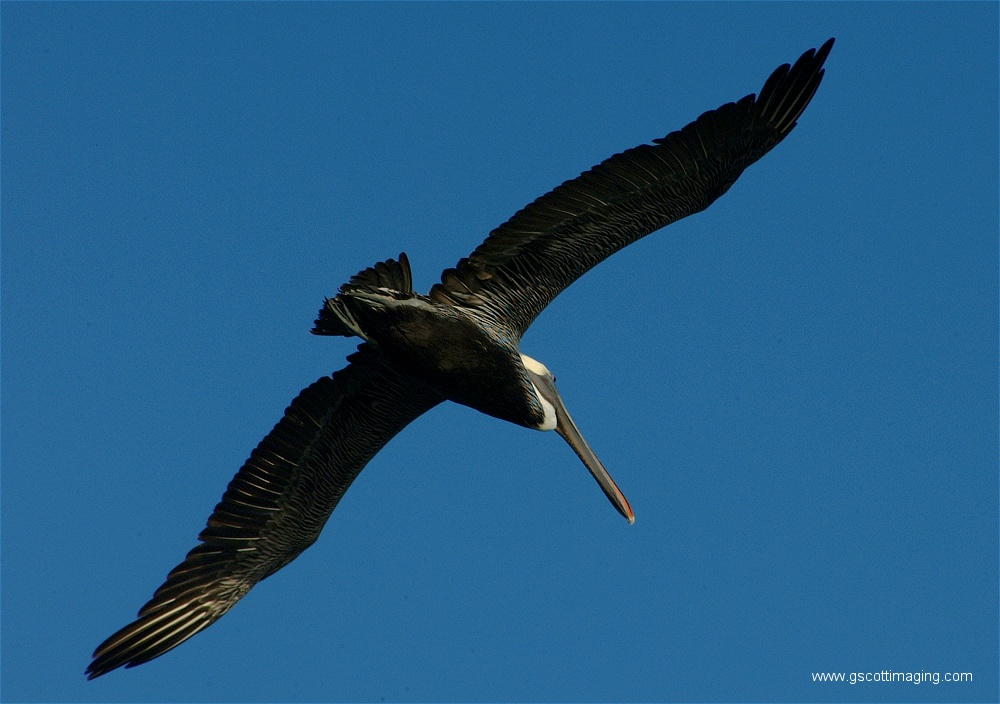 (26) Dscf2810.jpg   (1000x704)   210 Kb                                    Click to display next picture