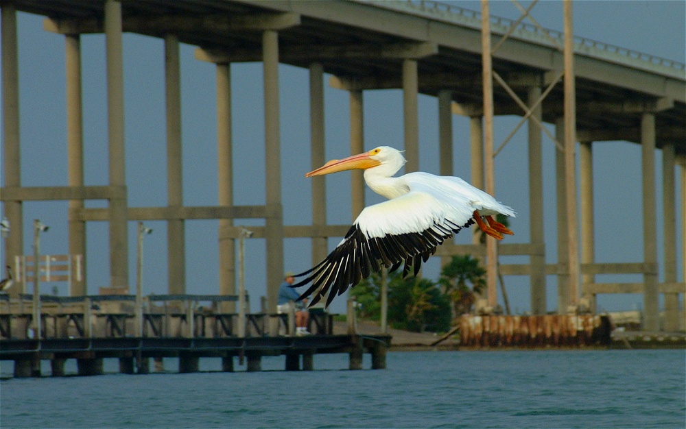 (28) Dscf0435.jpg   (1000x626)   212 Kb                                    Click to display next picture