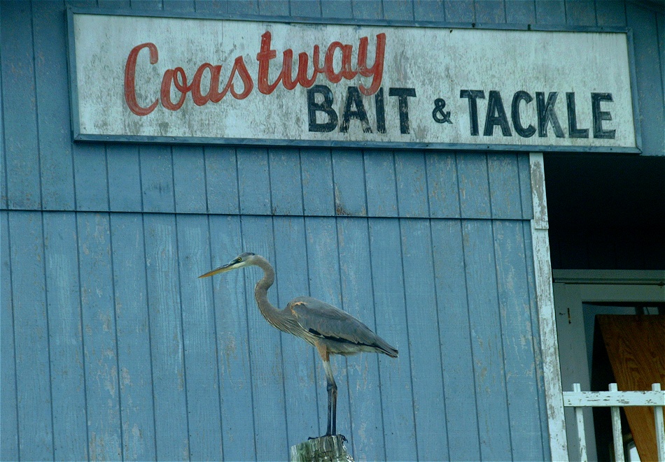 (34) Dscf0461.jpg   (950x661)   278 Kb                                    Click to display next picture