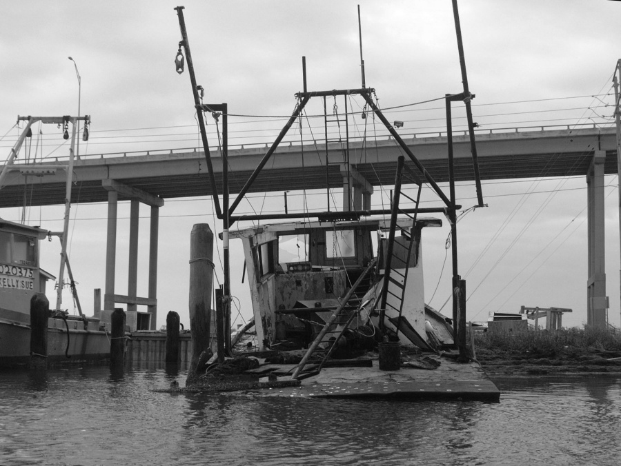 (45) Dscf0487 (power of B&W).jpg   (900x676)   205 Kb                                    Click to display next picture