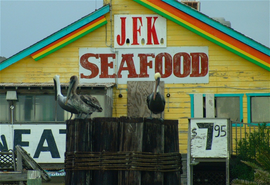 (56) Dscf0531.jpg   (900x617)   242 Kb                                    Click to display next picture