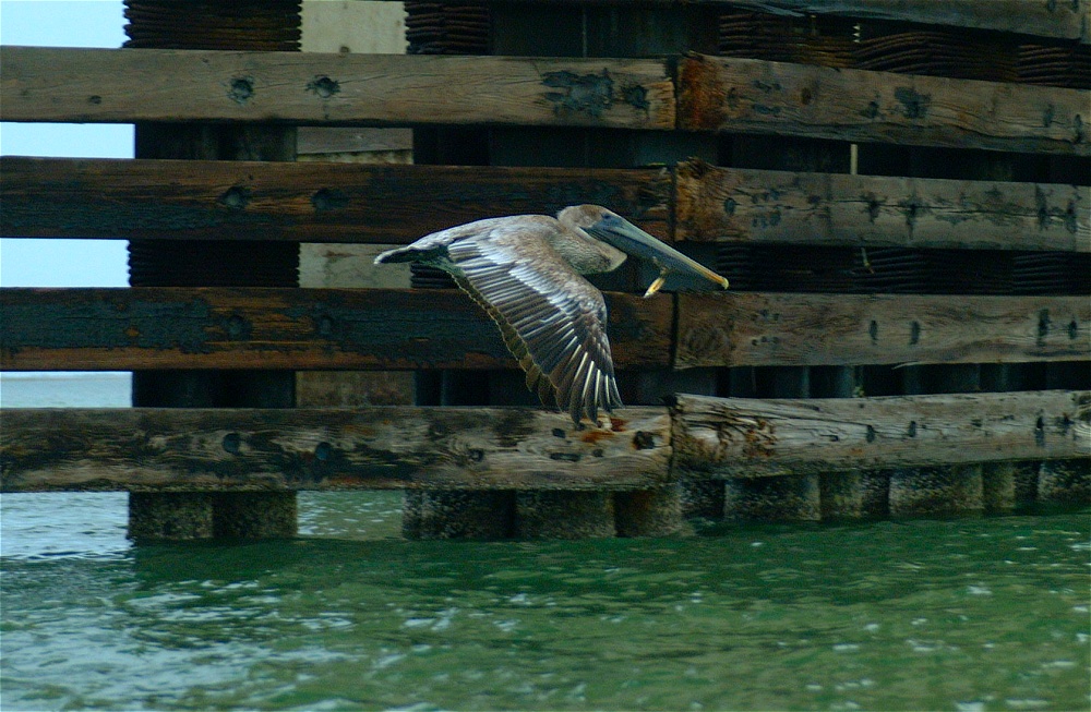 (59) Dscf0534.jpg   (1000x653)   286 Kb                                    Click to display next picture