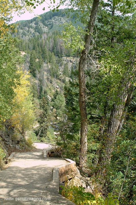 (01) Dscf4335.jpg   (478x720)   468 Kb                                    Click to display next picture