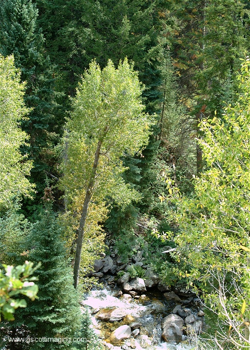 (05) Dscf4340.jpg   (515x720)   330 Kb                                    Click to display next picture