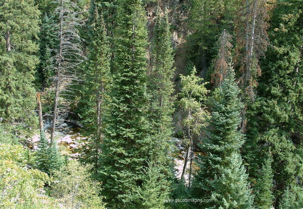 (06) Dscf4341.jpg   (1000x689)   587 Kb                                    Click to display next picture