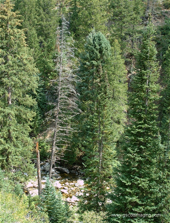 (08) Dscf4343.jpg   (550x720)   344 Kb                                    Click to display next picture