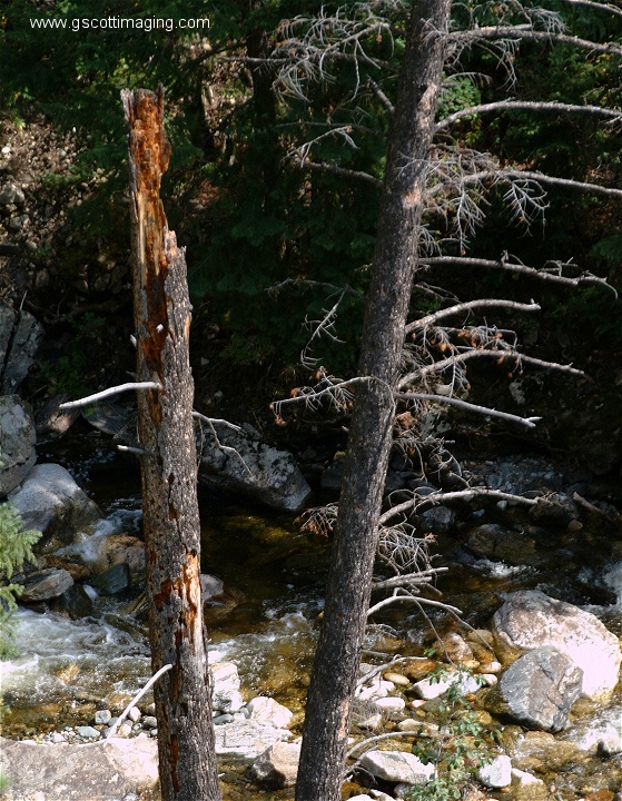 (09) Dscf4344.jpg   (559x720)   249 Kb                                    Click to display next picture