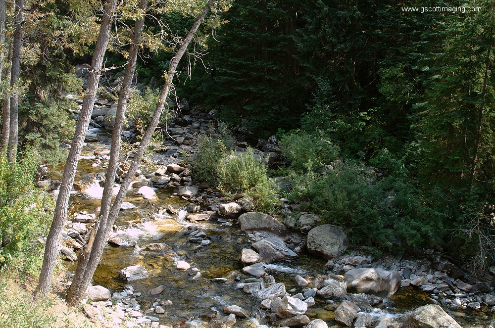 (10) Dscf4347.jpg   (1000x663)   493 Kb                                    Click to display next picture